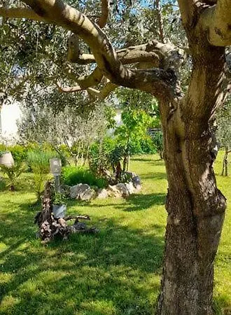 Beautiful 10 Min. From The Beach מדולין