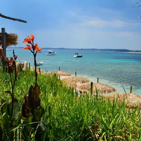 Beautiful 10 Min. From The Beach *